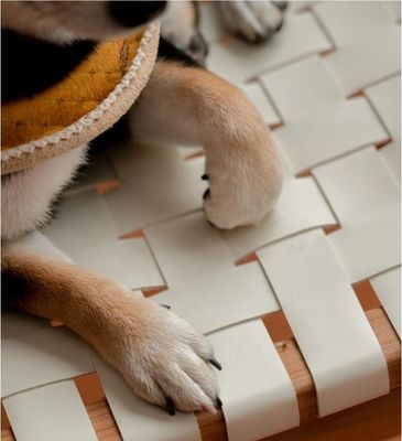 Hotel Nordic Design Massivasche Holz Pferdesattel Leder Gewebter Sitz Stapelbar Esstuhl für modernes Café und Restaurant