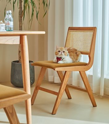 Wohnmöbel Lackierte Veredelung Massivholz Esszessel mit Kissen und natürlicher Rattan-Rückenlehne Für moderne Designmöbel