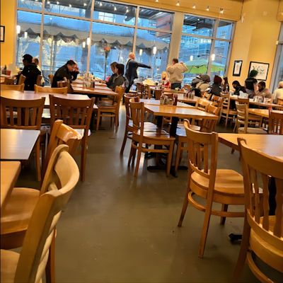 Restaurant-Esstuhl mit Massivholzrahmen und modernem PU-Lederdesign