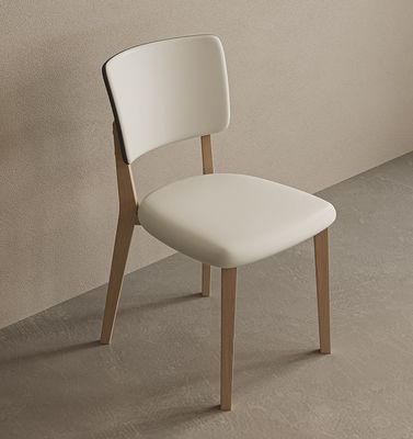 Wohnzimmermöbel aus Massivholz PU-Lederveredelung Nitrolacquer